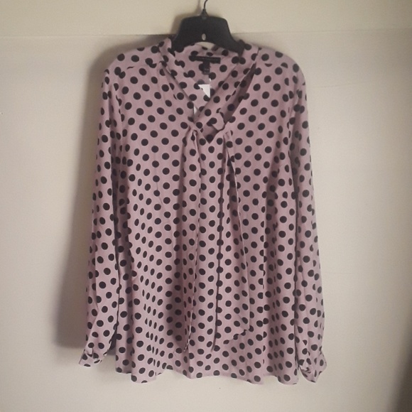 lane bryant dress shirts